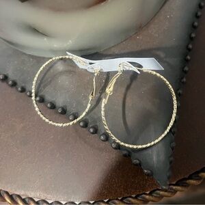 Elegant Hoop Earrings